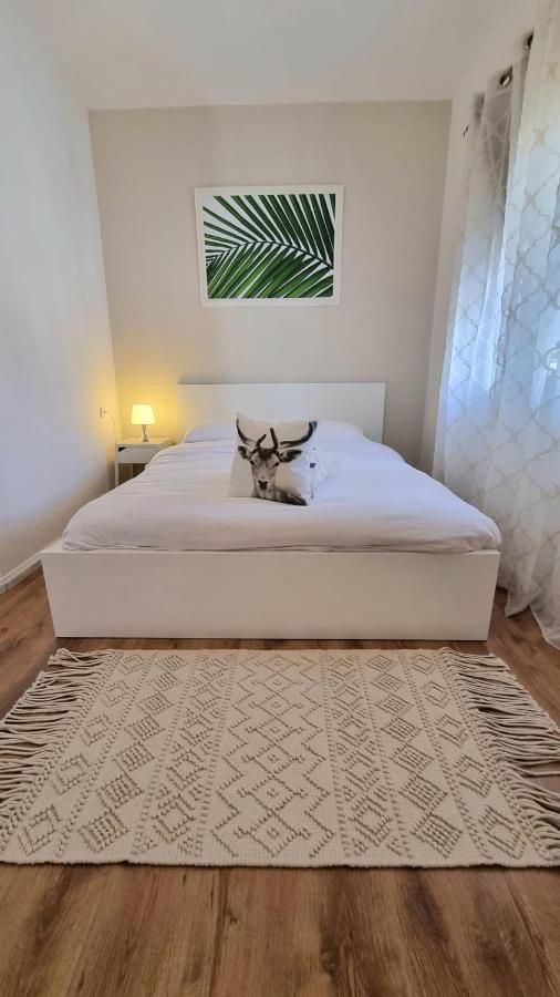 Villa Gal Ejlat Exteriér fotografie